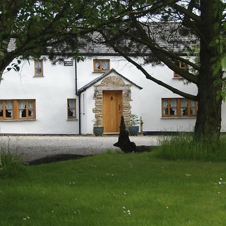 Armidale Cottages B&B Workington Buitenkant foto